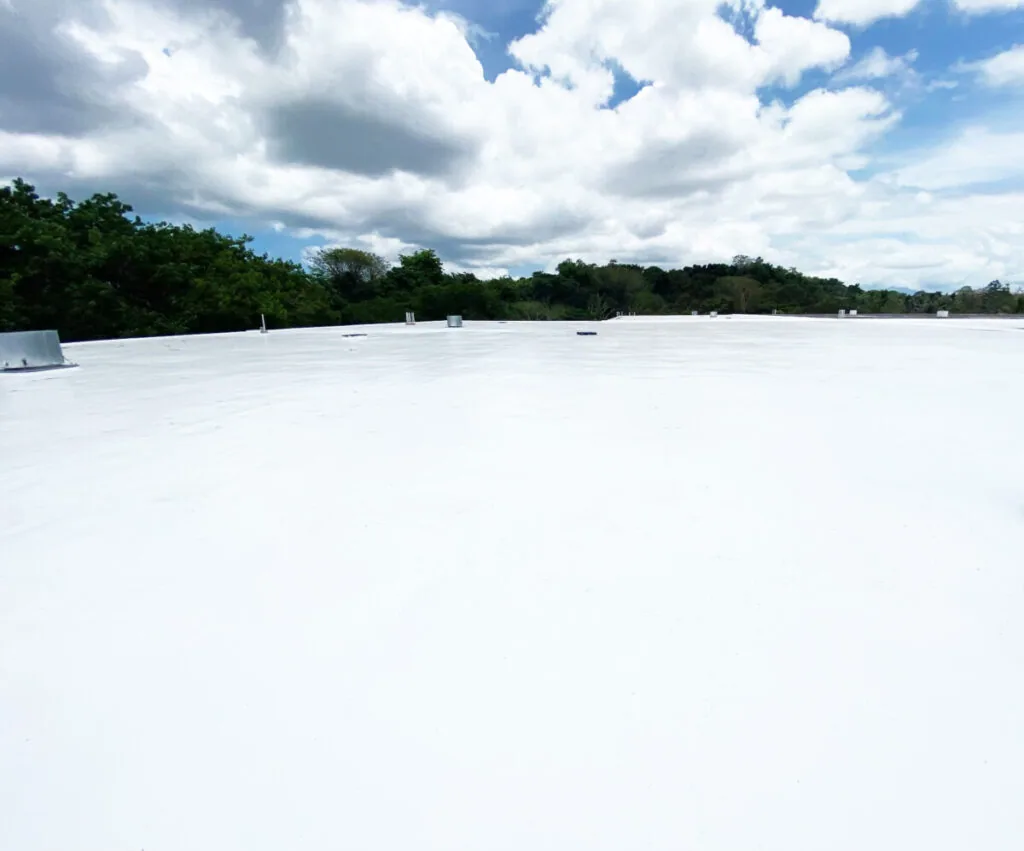 silicone roof coatings